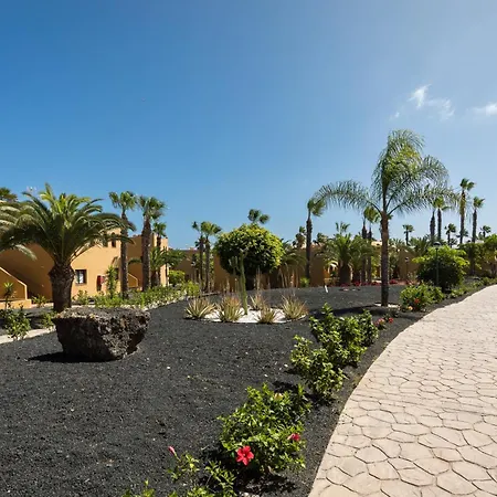 Home2book Sunny Apt, Terrace & Pool