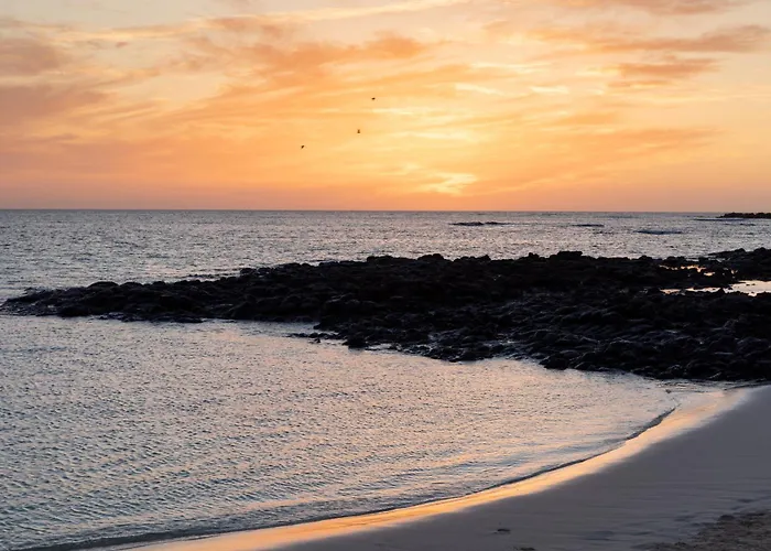 Home2book Sunny Apt, Terrace & Pool